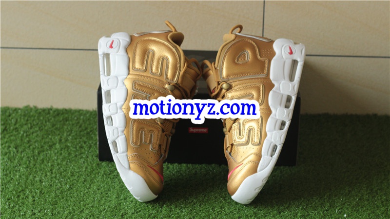 Authentic Supreme x Nike Air More Uptempo Golden